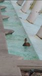 Ducks in the Bally's fountain entrance