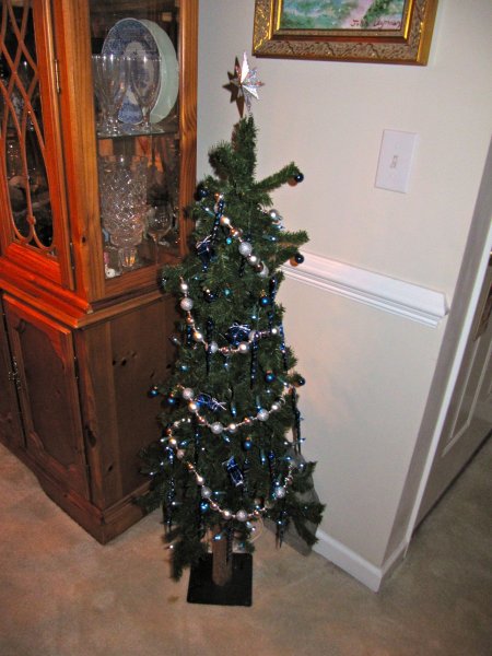 another small tree, in the dining room