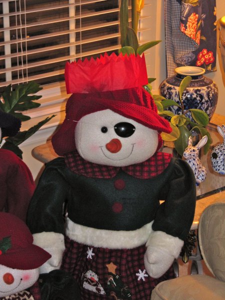snow woman, queen of the pirates!