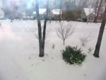 Snow 2010