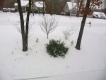 IMG_2825