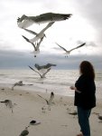 cynthia feeding the birds (1)
