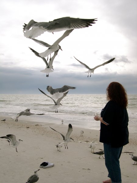 cynthia feeding the birds (1)
