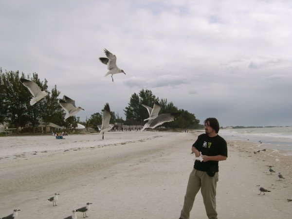 ben feeding the birds (2)