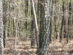 IMG_3416