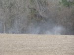 IMG_3443