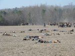 IMG_3581
