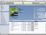 iTunes 8.2.1: drag song to playlist