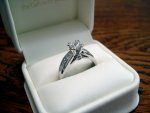Engagement and Wedding