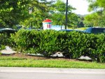 IMG_4278