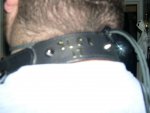 Bill's collar 2 (suck it)