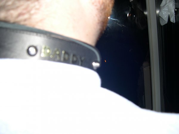 Bill's collar 3 (daddy)