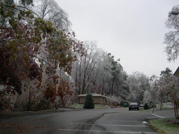 Apartment Parking Lot