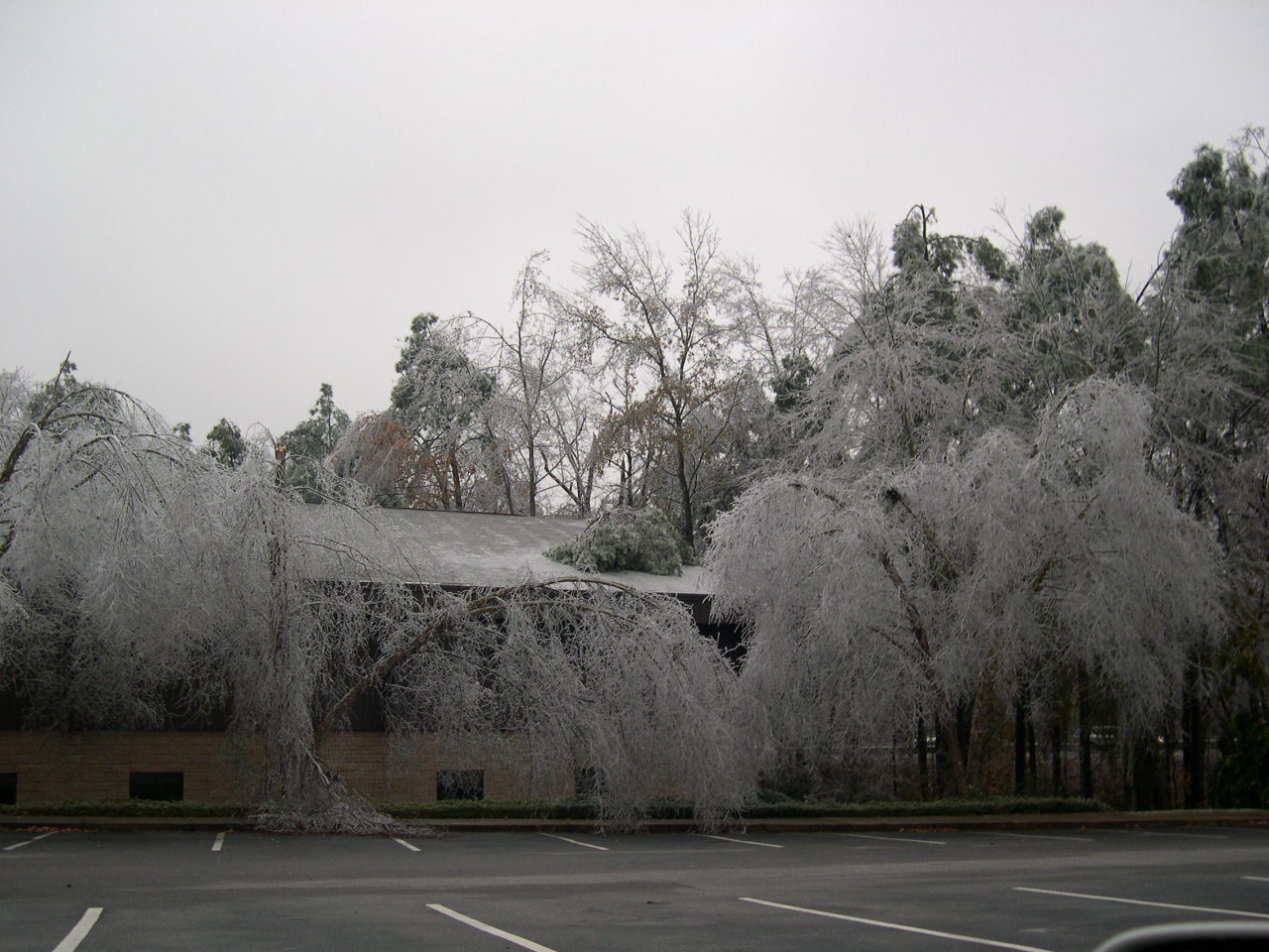 Outside Work -- Note the Tree on the Roof