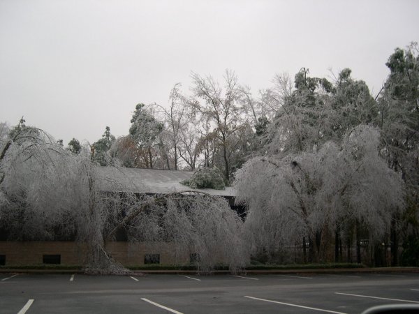 Outside Work -- Note the Tree on the Roof
