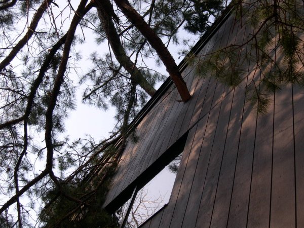 Close-up on Leaning
