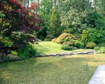 Duke Gardens 2