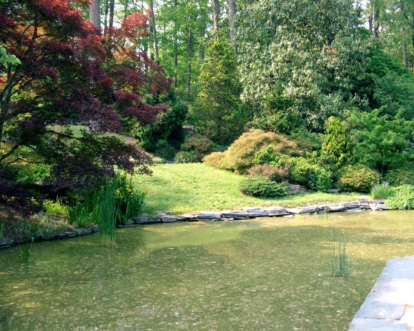 Duke Gardens 2