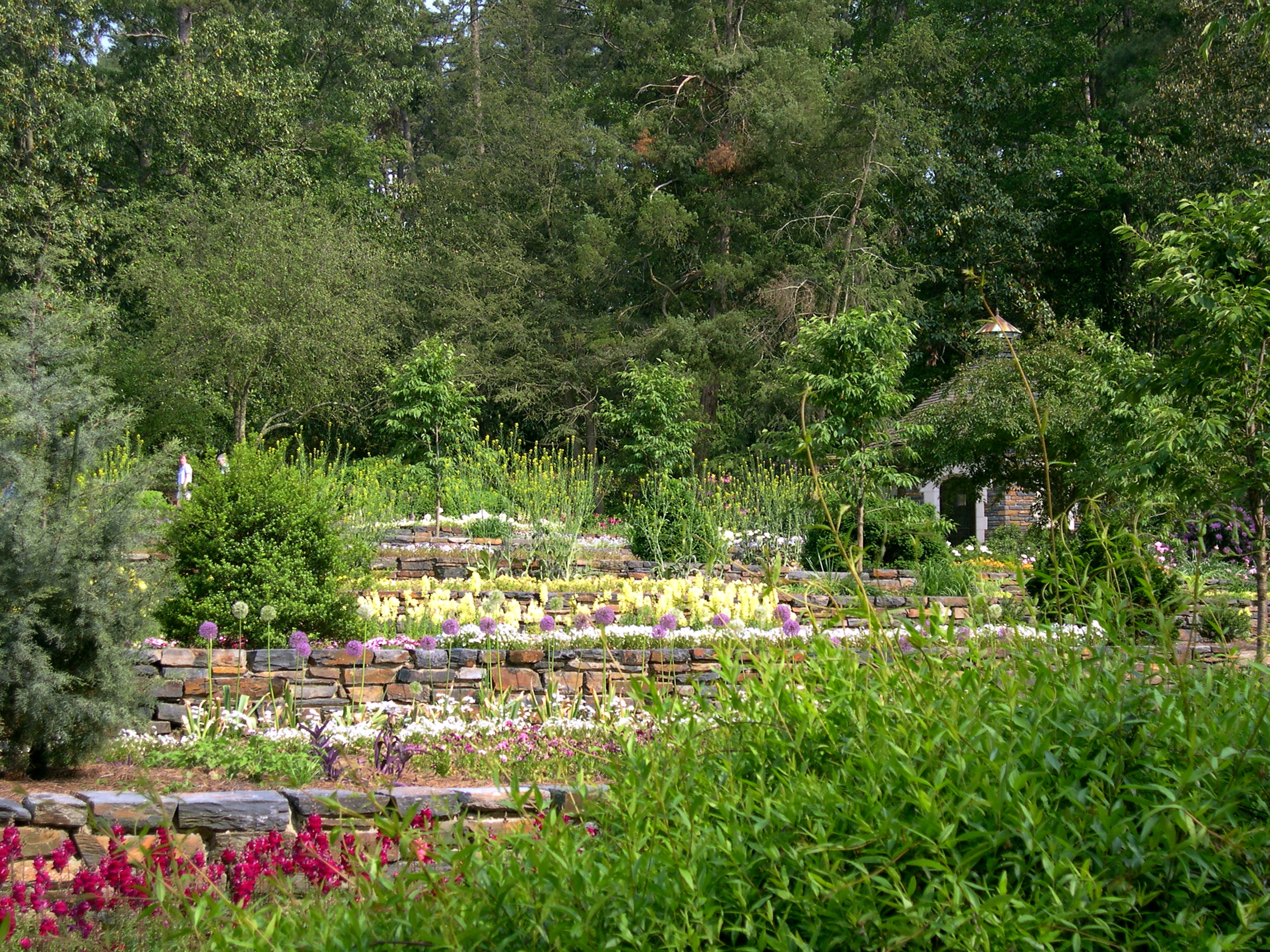 Duke Gardens 4