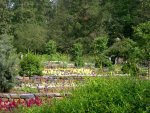 Duke Gardens 4