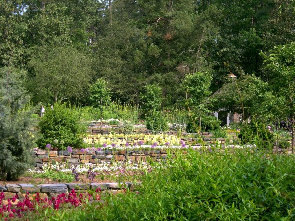 Duke Gardens 4