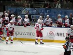 celebration at the Hurricanes bench