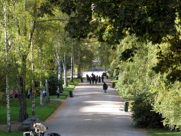 Passing a park on the way to the hotel.