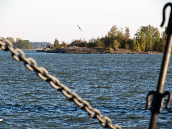 Looking out over the water.
