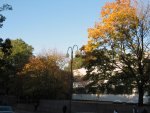 Walking the streets near the Helsinki Cathedral on the way back to the hotel.