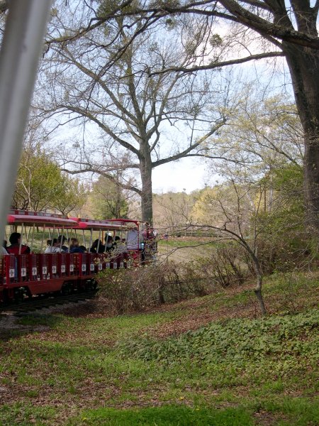 Pulling Around the Park