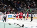 celebrating the goal