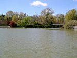 On the Paddle Boat (1)