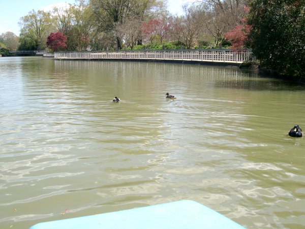 What Else Floats in Water?