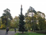 Sibelius park