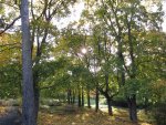 Sibelius park
