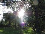 Sibelius park