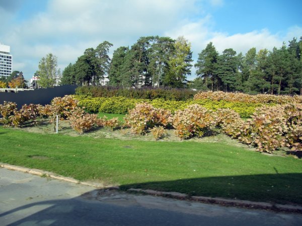 touring Helsinki