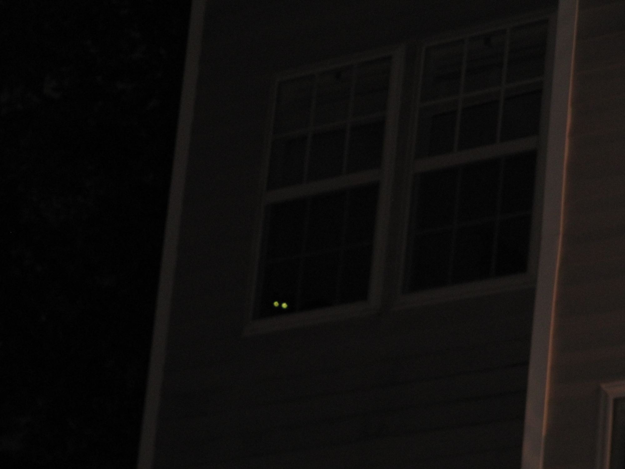 a kitty is watching from the bedroom...