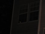 a kitty is watching from the bedroom...