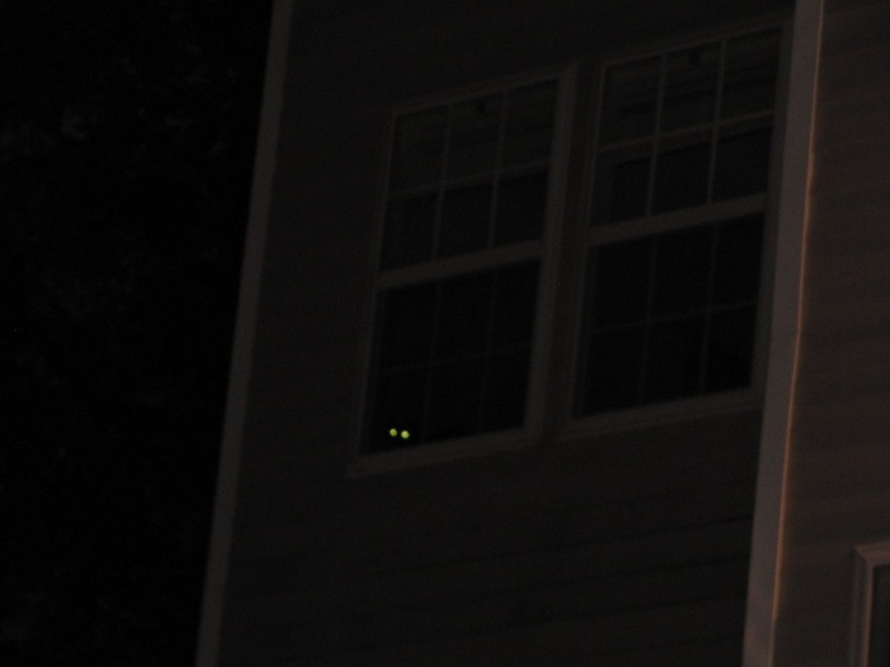 a kitty is watching from the bedroom...
