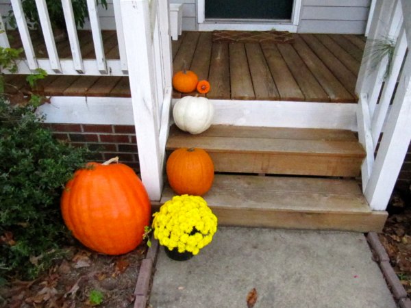 pumpkins and mums posing with our Sutter-signed Halloween puck
