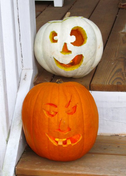 our pumpkins in daylight -- white == Cynthia, orange == Ben