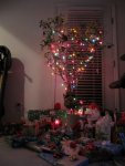Our Christmas Tree (lit up)