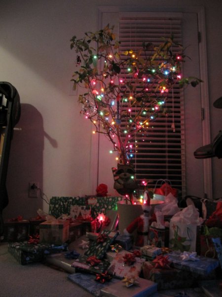 Our Christmas Tree (lit up)