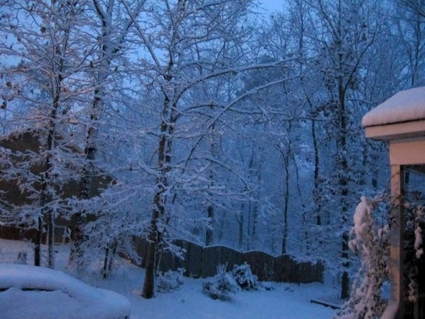 Side yard