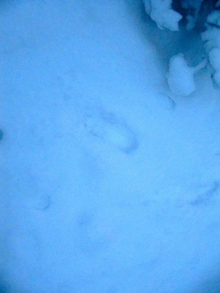 My footprints