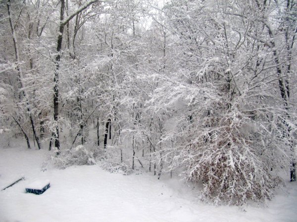 Backyard and fire bowl covered in snow