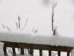 Snow piled on deck railing