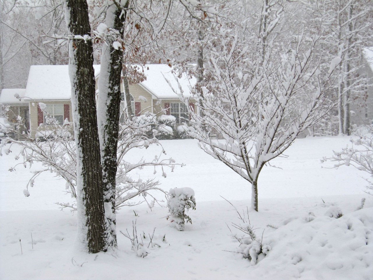 More snow in the front yard