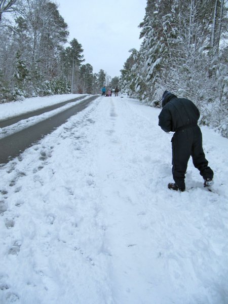 looking up the sledding hill